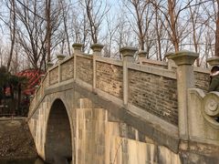 景点-合肥滨湖国家森林公园