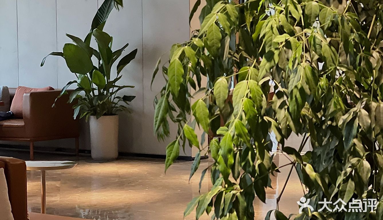 夏日的一抹清新 | 荞麦咖啡店☕