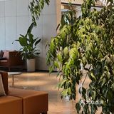 夏日的一抹清新 | 荞麦咖啡店☕