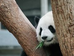 -重庆动物园·东二门售票处