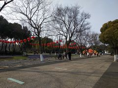 -圩墩遗址公园