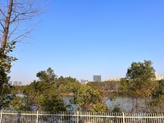 -艾溪湖湿地公园