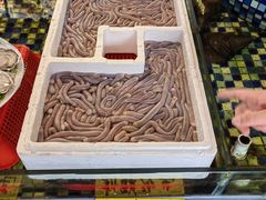 -顺德了能馆(虎门店)