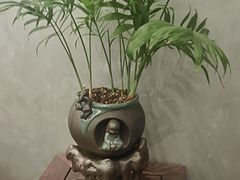 -石泉私宴