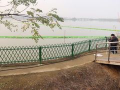 -金银湖国家城市湿地公园
