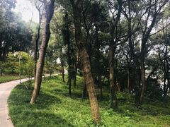 -上海市保健医疗中心