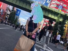 -秋叶原电器街