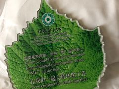 -罗浮山嘉宝田森林温泉度假酒店