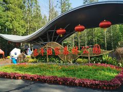 -东平国家森林公园
