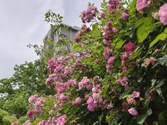 -港澳广场购物中心