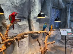 -Zoolung Zoolung动物主题公园(海信广场店)