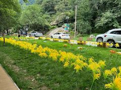-秦岭终南山世界地质公园翠华山景区