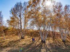 -塞罕坝国家级自然保护区