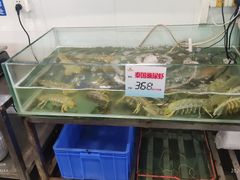 水产区-金满楼(天河中路店)