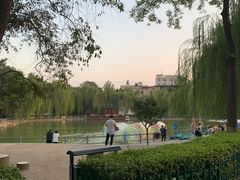 -莲湖公园