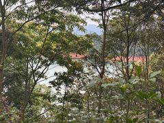 -广州市流溪河国家森林公园