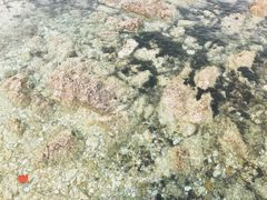 -同裕烧烤·海鲜·家常菜(杰座·欧洲城店)