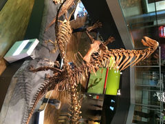 iphone_upload_pic-墨尔本博物馆(Melbourne Museum)