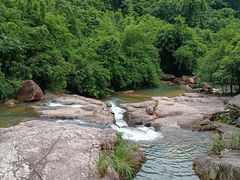 -广州白江湖森林公园