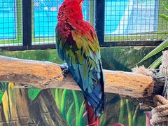 -海合安武汉极地海洋公园