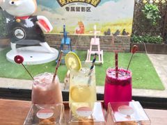 -柴犬高等学院·狗咖·柴犬售卖·宠物训练