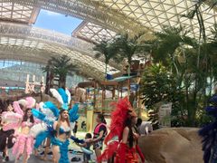 -杭州开元森泊度假乐园