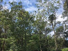 -广州市白云山风景名胜区