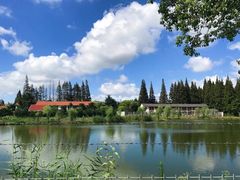 -上海长兴岛郊野公园