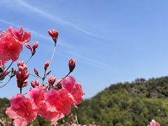 -十九峰景区-倒脱靴