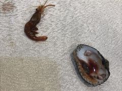 -阿巧一号私房菜(止园路店)