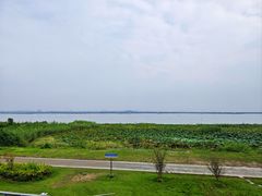 -七的湖·晚芳亭·阳澄湖农家菜·大闸蟹(莲花岛店)