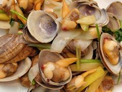 黄蚬子-双井轩(双井店)