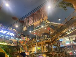 -卡通尼·Safari非洲探索乐园·生日会(金桥国际商业广场店)