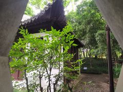 -秋霞圃