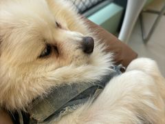 -怪兽屋·羊驼·猫咖·狗咖(俊华广场店)