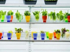 -绿岛国际酒店-西餐厅