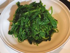 豌豆尖-甄御•海鲜新青岛菜(麦岛店)