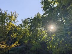 -阳台山自然风景区