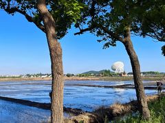 -上海佘山国家森林公园天马山园