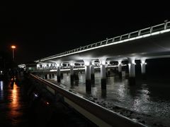 -演武大桥观景平台
