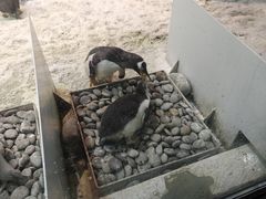 -大连圣亚海洋世界