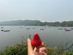 -湖畔居茶楼(湖滨店)