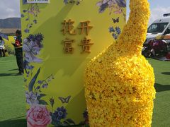 -光明小镇欢乐田园