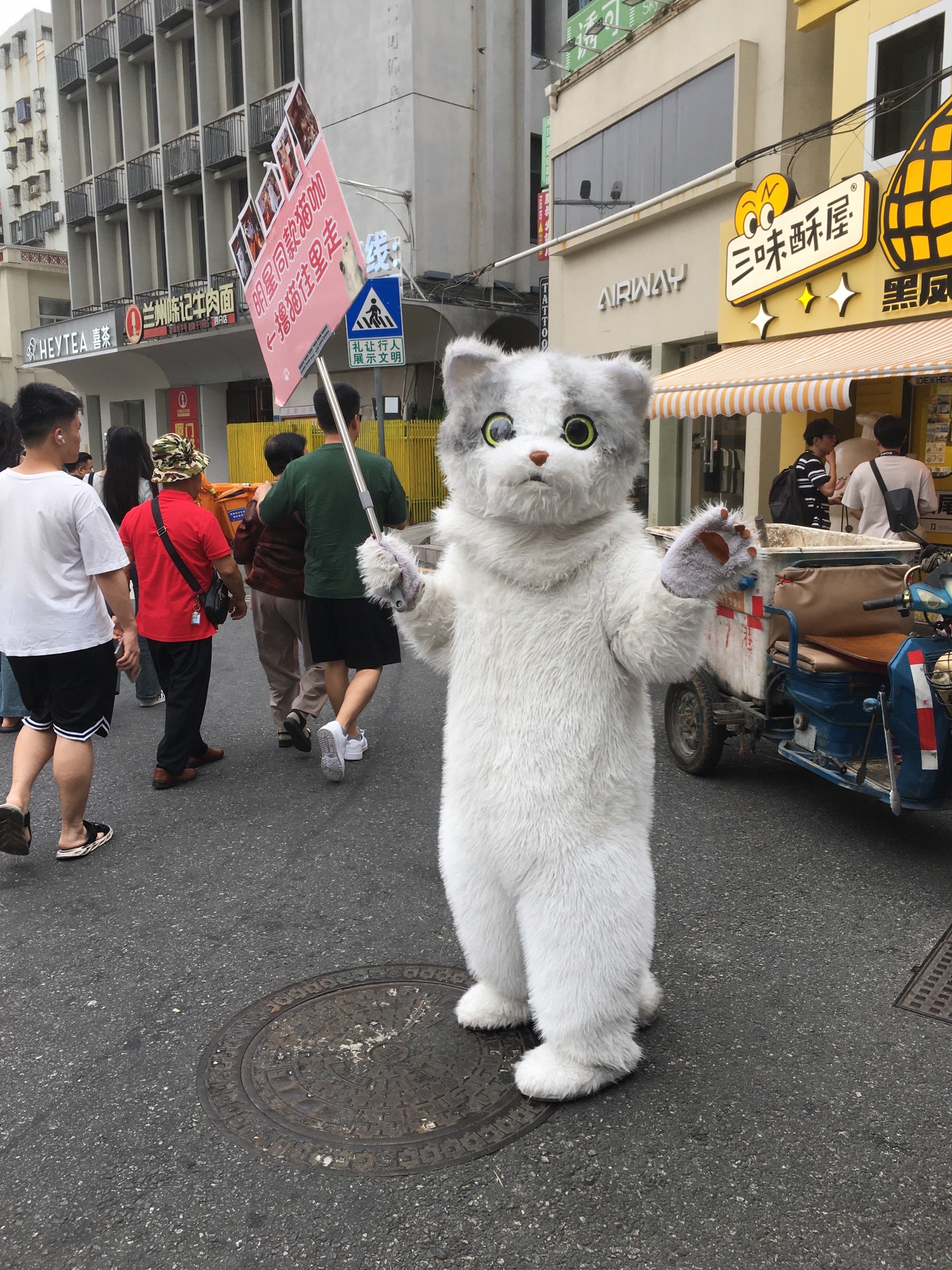 沙坡尾猫街图片