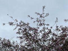 -黔灵山公园