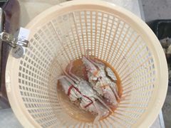 -庆余生平价生猛海鲜(海棠湾林旺夜市店)