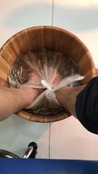 点击看大图 -派恩宜灰指甲·甲沟炎·鸡眼康护