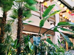 -太湖饭店玉兰厅(自助餐厅)