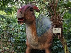 -呀路古热带植物园-恐龙馆