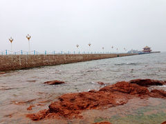 iphone_upload_pic-栈桥景区